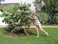 Aug 2008 San Diego